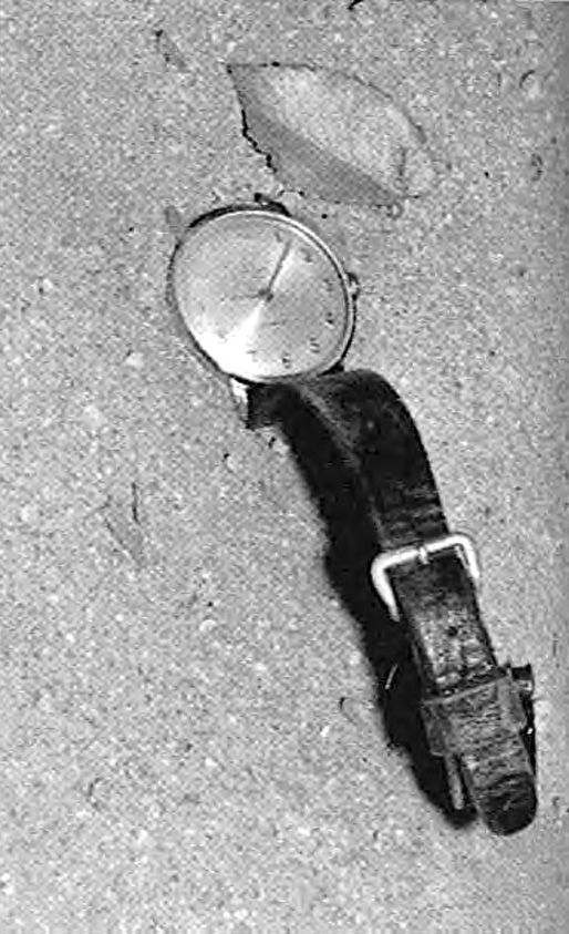 Timex Watch-- crime_scene-1