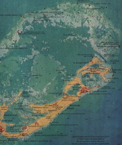 Bermudareefs Bermudareefs