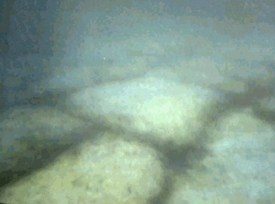 Bimini3 Bimini3