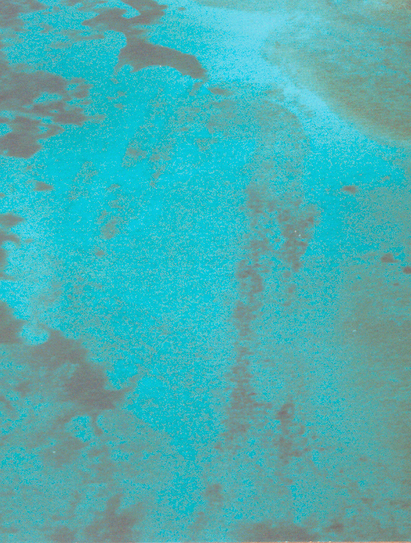 Biminiroad-Brucepic2 Biminiroad-Brucepic2