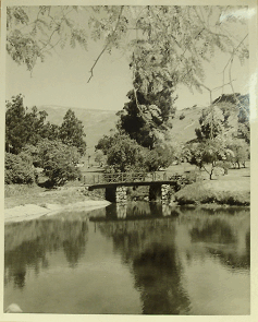 DSC01466BRSPcroppedicon