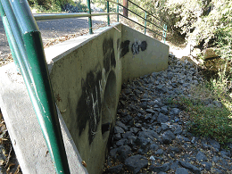 DSC04378-50%-icon