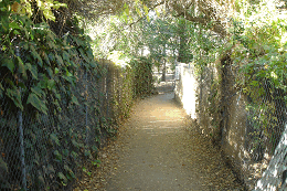 DSC05416-icon