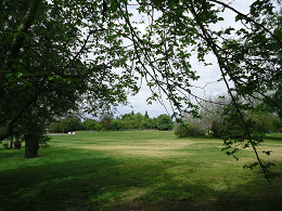 DSC05763-50%-icon