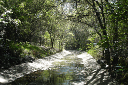 DSC06109-icon