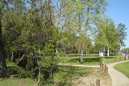 DSC06243-icon