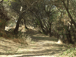 DSC06583-icon