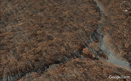 Google-Bridle-Trail-angle-icon