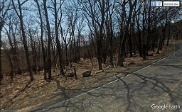 Google-Bridle-Trail-icon