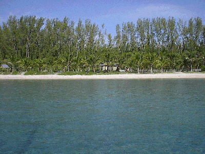 Peanutisland Peanutisland