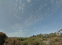 Santa Paula-Cats-icon