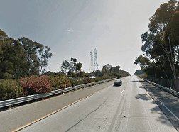 Santa Paula-Cats2-icon