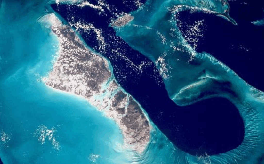 Tongue-satellite