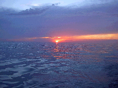 Vancesunset