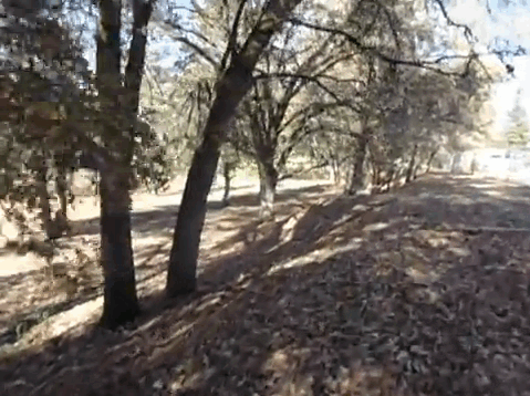 Video4-DCP