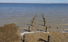 Boardwalk-view-from-end-VO-icon