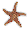 Starfish