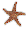 Starfish02