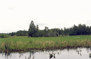 prairieicon
